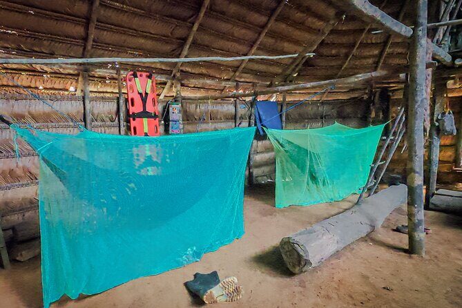 Full jungle experience tour - A Detailed Look at the Full Jungle Experience