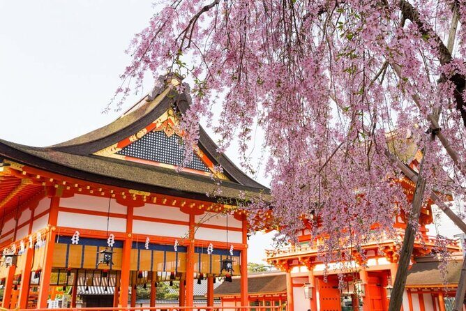 Full Kyoto Magical Experience 1 Day Tour - Discover Kyoto in a Day: The Full Kyoto Magical Experience Tour