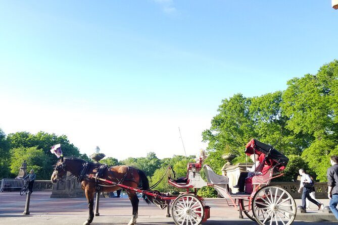 Full loop Private Horse Carriage Ride in Central Park 45 Minutes - Discover Central Park in Style: A Private Horse Carriage Ride
