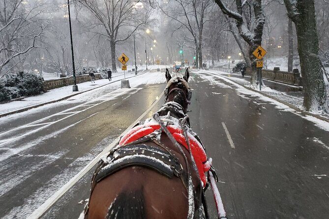 Full loop Private Horse Carriage Ride in Central Park 45 Minutes - Final Thoughts