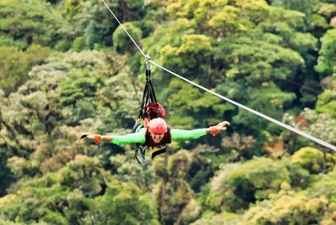 Full Monteverde Cloud Forest Experience With Ziplining. - FAQ