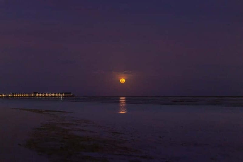 Full Moon Magic  2h Night Sailing in Sotogrande - What’s Included and What’s Not