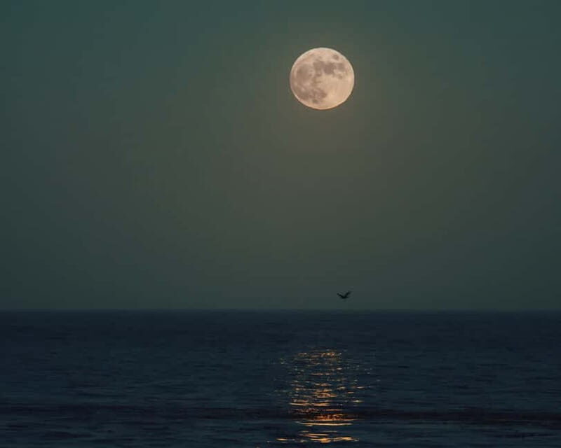 Full Moon Magic  2h Night Sailing in Sotogrande - Who Will Love It?