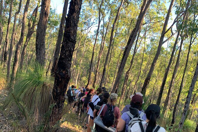 Full Moon Yoga Hiking Experience Mundaring - An In-Depth Look at the Full Moon Yoga Hiking Experience in Mundaring