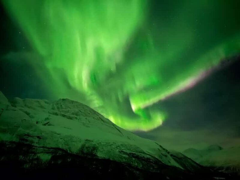 Full Night Magic of the Northern Lights in Tromso - Frequently Asked Questions