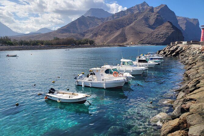 Full Private Tour of Gran Canaria with Natural Pools - FAQ