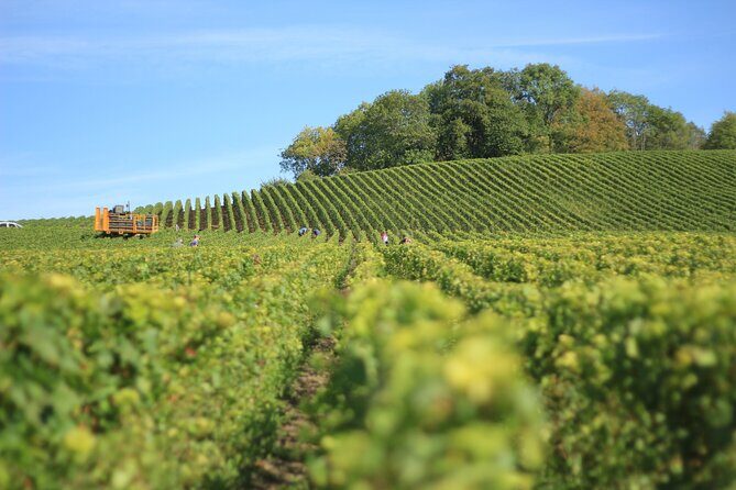 Full Rioja Wine Tour with Lunch from San Sebastian Private Tour - Why Consider This Rioja Wine Tour?