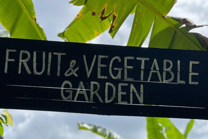 Full-Day Private Tour in Starfish Beach and Phu Quoc Northern Part - Who Should Consider This Tour?