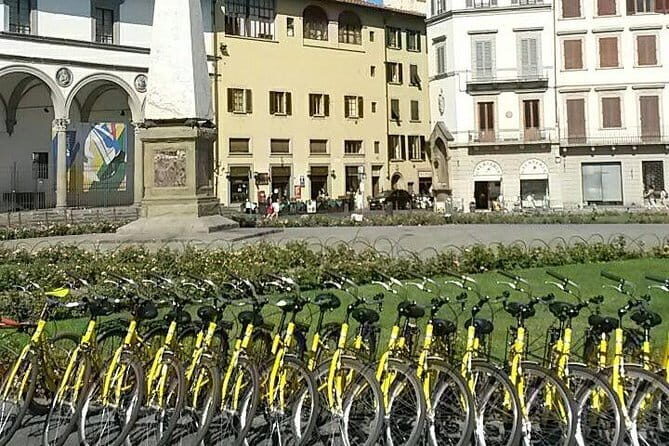 Fully equipped city bike to discover Florence - 1 day rental - A Deep Dive into the Florence Bike Rental Experience
