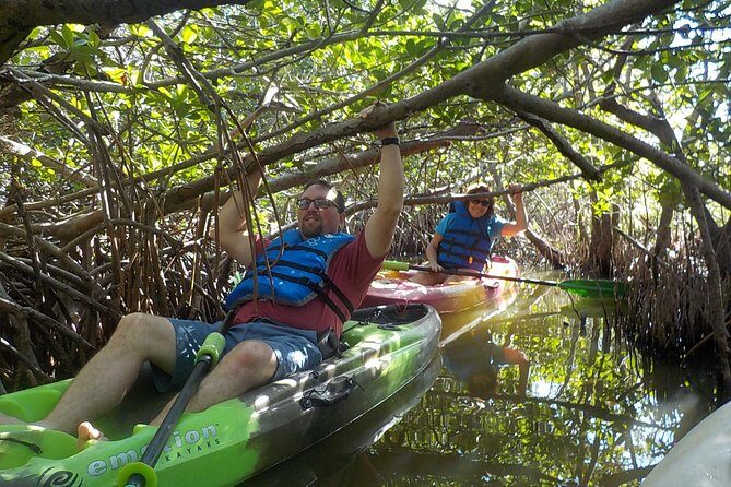 Fully Guided Kayaking Backwater Manatee and Dolphin Tour - Final Thoughts