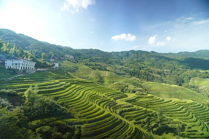 Fully-Guided Private Day Tour of Longji Terraces From Guilin - A Deep Dive into the Longji Terraces Private Day Tour