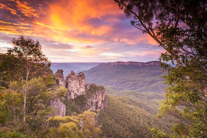 Fully Inclusive Blue Mountains Private Tour inc Scenic World & Featherdale Entry - Experience the Blue Mountains in Style and Comfort