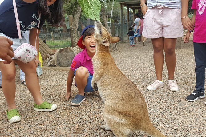 Fully Inclusive Blue Mountains Private Tour inc Scenic World & Featherdale Entry - The Sum Up