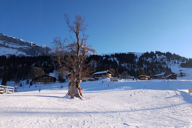 Fully organized Ski Experience for Private Groups - The Sum Up: Who Is This Tour Best For?