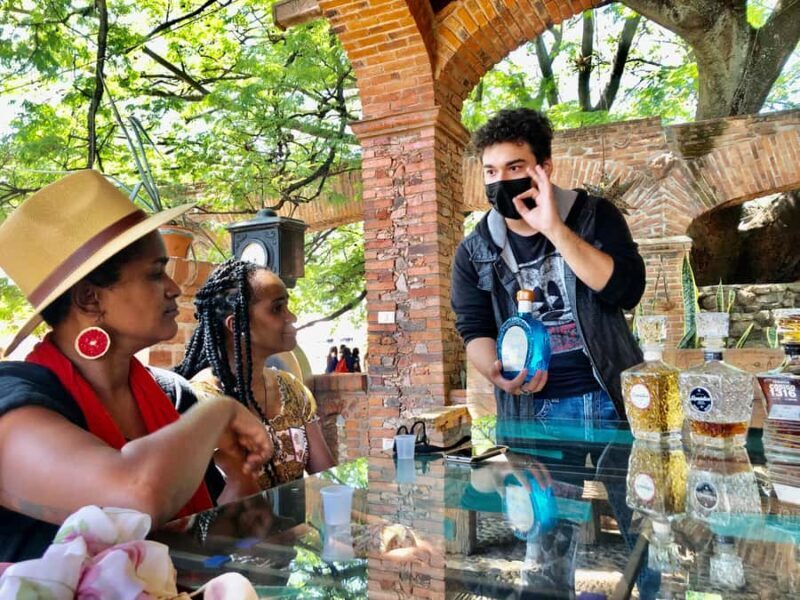 Fully-Private Half-Day Tequila Tour - Final Thoughts