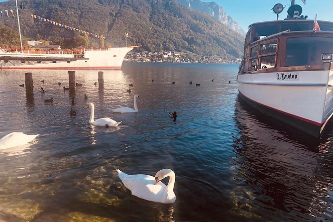 Fully private - SALZBURG, HALLSTATT & MELK ABBEY! - Authentic Experiences and Authentic Guides