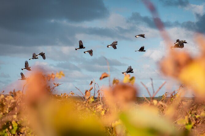 Fully Tailored Private Bespoke Tour of Margaret River - Practical Considerations