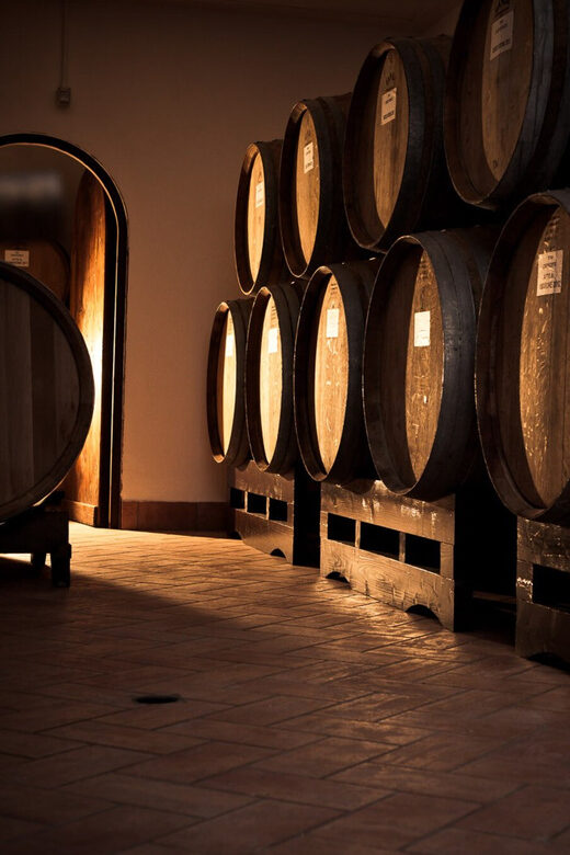 Fumane: Valpolicella wine tasting tour in a medieval court - Fumane: Valpolicella wine tasting tour in a medieval court