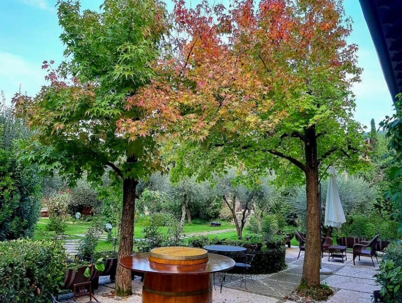 Fumane: Valpolicella wine tasting tour in a medieval court - Key Points