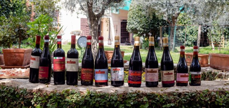 Fumane: Valpolicella wine tasting tour in a medieval court - What travelers should know