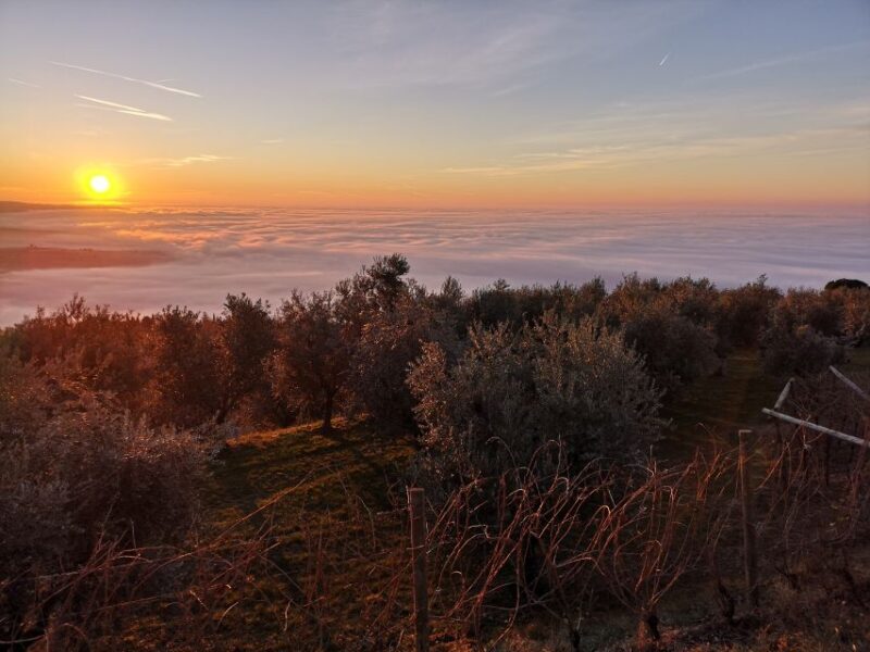 Fumane: Wine Tasting Experience in Valpolicella Valley - Who This Tour Is Perfect For