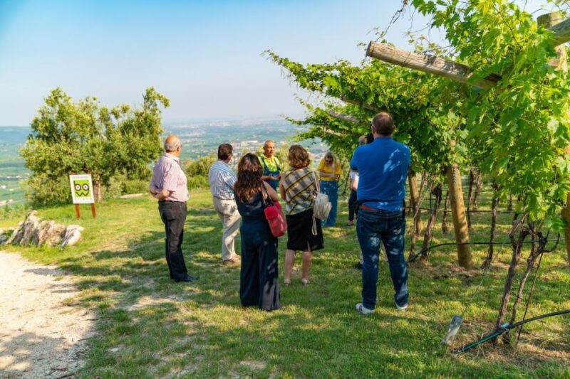 Fumane: Wine Tasting Experience in Valpolicella Valley - To sum it up