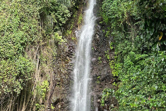 Fun and Exhilarating Experience at Dark View Falls - The Value of This Tour