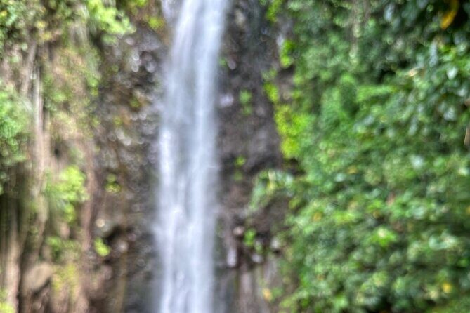 Fun and Exhilarating Experience at Dark View Falls - Who Will Love This Tour?