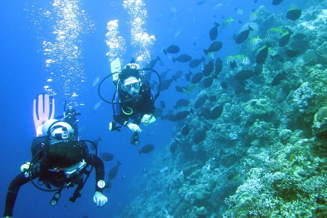 Fun Boat Dive for certified diver - Discovering Cebu with Scotty’s Fun Boat Dive: An In-Depth Review