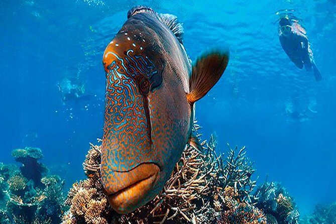 Fun Catamaran Snorkeling Party, Sightseeing & Transportation - Who Should Consider This Tour?