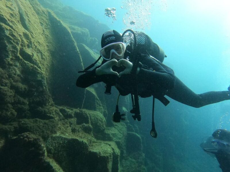 Fun Dive for Certified Divers in Tenerife - Exploring Tenerife’s Underwater World: Fun Dive for Certified Divers