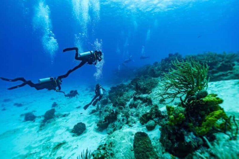 Fun Dive in Cozumel  Dive Machine Experience - FAQ: Your Questions Answered
