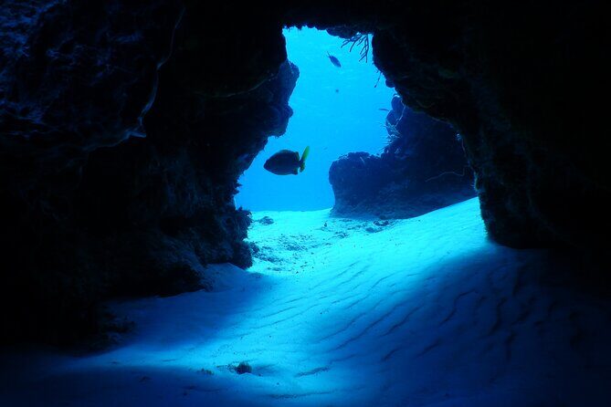 Fun dives Cozumel south marine park - Who Should Consider This Tour?