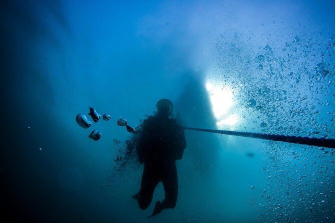 Fun Dives For Certified Divers - Frequently Asked Questions