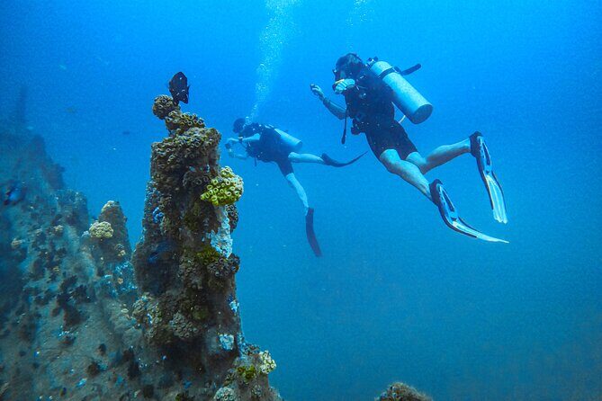 Fun Dives For Certified Divers - Discover the Underwater World with Fun Dives for Certified Divers in Galle
