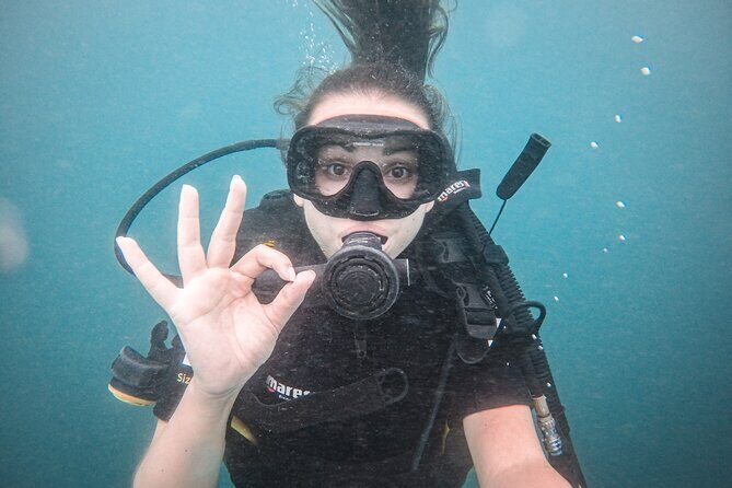 Fun Dives For Certified Divers - Exploring the Details: What to Expect from This Dive Experience