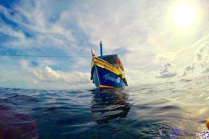 Fun Diving Packages (Certified Divers) - Final Thoughts