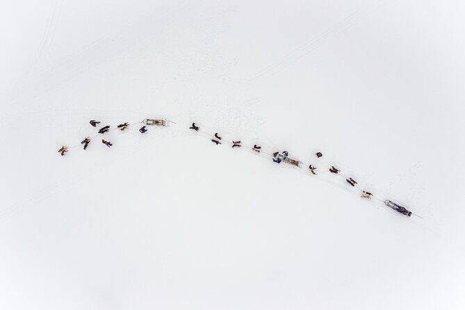 Fun & Easy Dog Sledding Adventure - Early Bird Tour - The Perfect Fit for Who?