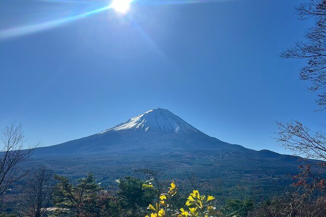 Fun Trail in Tokyo - A Detailed Look at the Fun Trail in Tokyo Experience