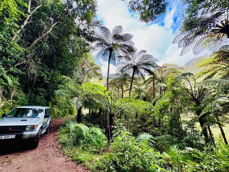 Funchal: 4x4 Jeep Trip to the East and Northeast of Madeira - An In-depth Look at the Funchal 4x4 Jeep Tour