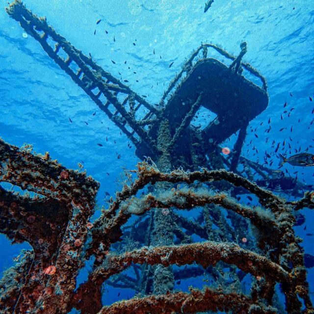 Funchal: Advanced Scuba Diving Afonso Cerqueira Wreck - Breaking Down the Itinerary