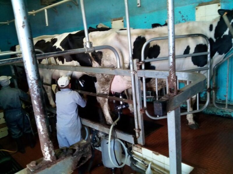 Funchal Agriculture Green Tour - Exploring the Madeira Farming World