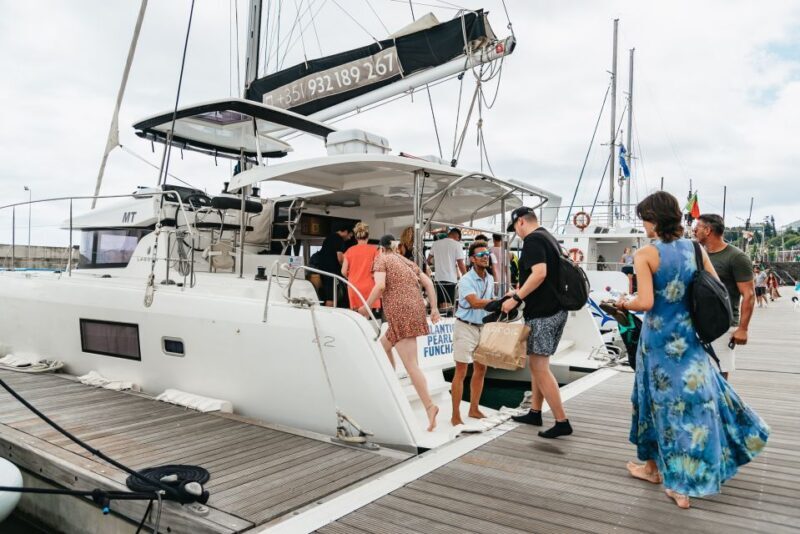 Funchal Bay: Dolphin & Whale Watch Luxury Catamaran Cruise - Funchal Bay: Dolphin & Whale Watch Luxury Catamaran Cruise – A Detailed Review