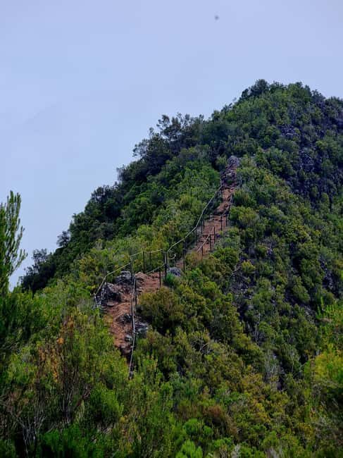 Funchal: Bica da Cana to Encumeada Guided Hike with Pickup - An In-Depth Look at the Hike