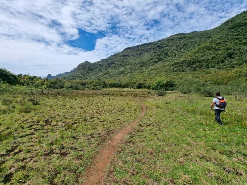 Funchal: Bica da Cana to Encumeada Guided Hike with Pickup - Who Should Consider This Tour?