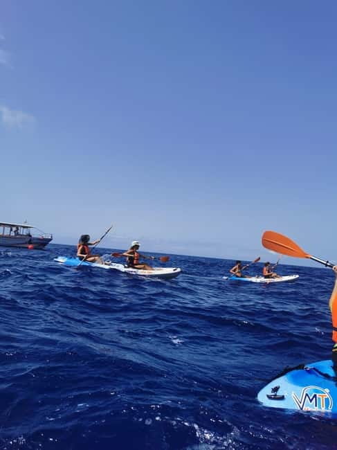 Funchal Boat trip with Kayak Experience - Key Points