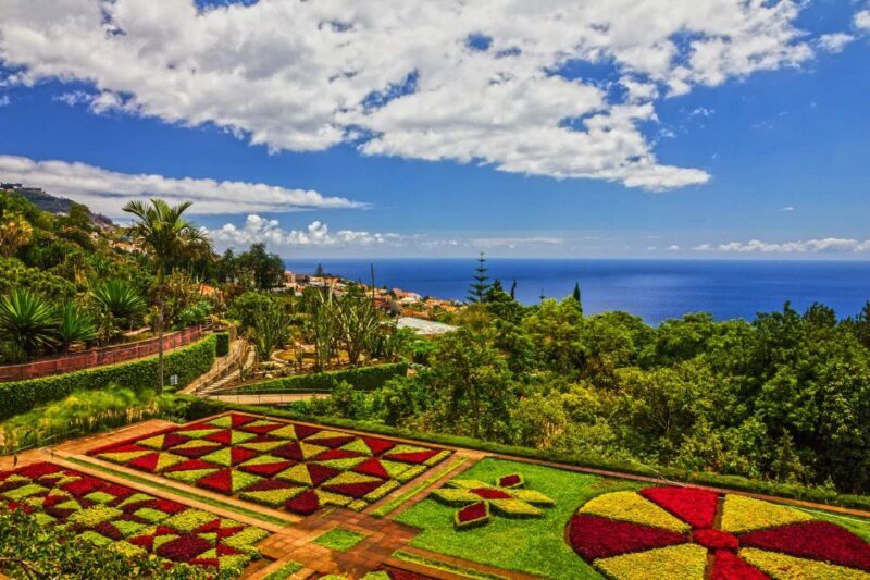 Funchal: Botanical Garden and Old Town Private Tuk-Tuk Tour - An In-Depth Look at the Funchal Tuk-Tuk Tour