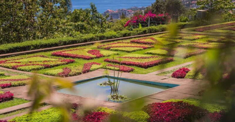 Funchal: Botanical Garden and Old Town Private Tuk-Tuk Tour - Frequently Asked Questions
