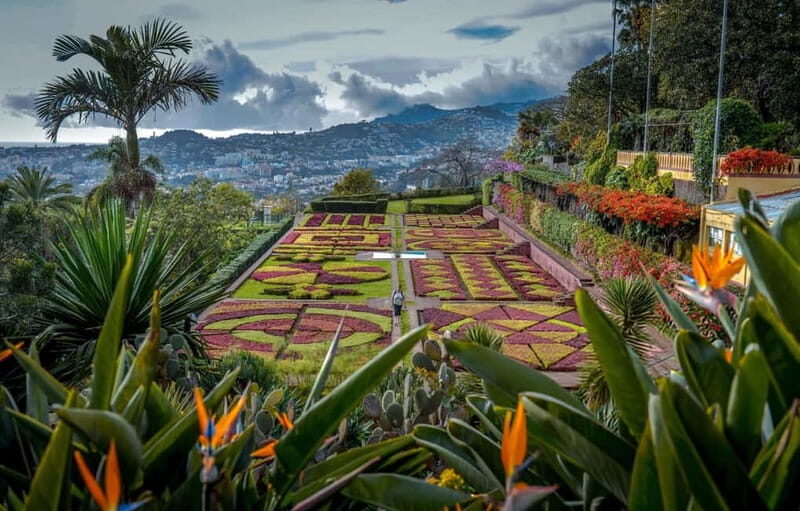 Funchal: Botanical Garden & Old Town Tour by TukTuk (1h45) - Discovering Funchal’s Charm with a Tuk-Tuk Tour: Botanical Gardens & Old Town