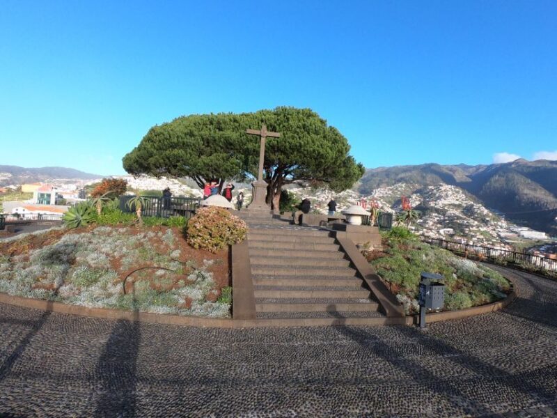 Funchal: Cabo Girão, Wines Tasting and Dolphins Watching - Key Points